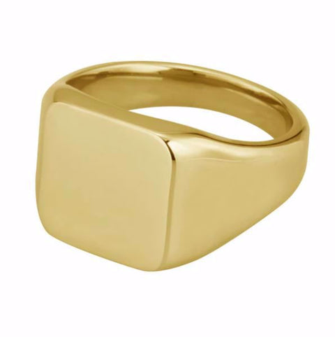 Den fineste herrer signet ring stål.