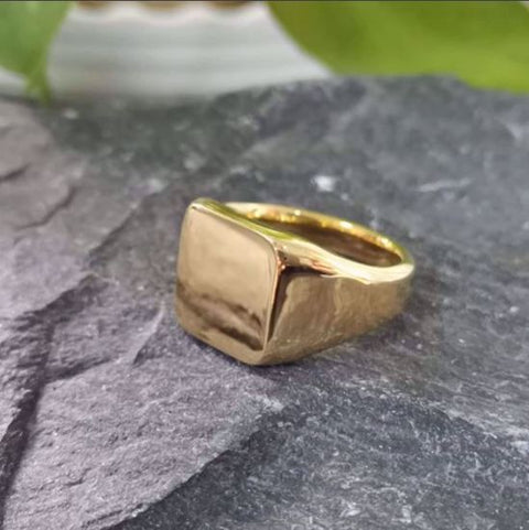 Den fineste herrer signet ring stål.