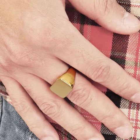 Den fineste herrer signet ring stål.