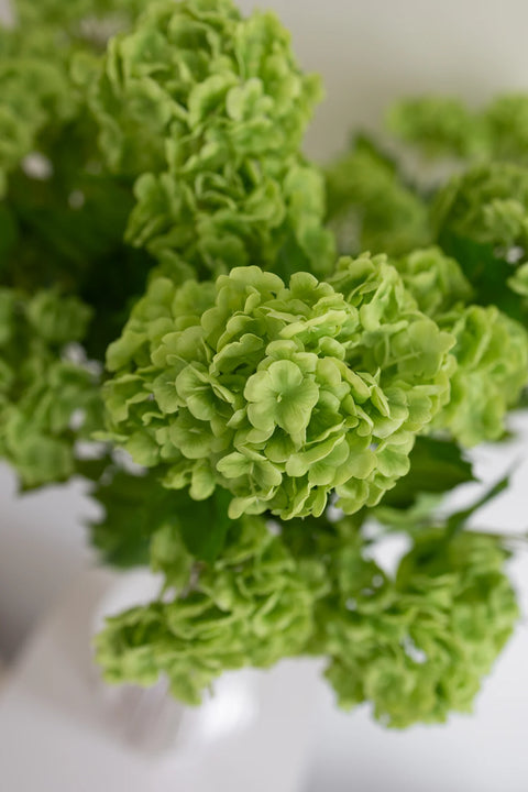 BLOOM OBJECTS kunstig Hortensia Trio blomst - Grøn