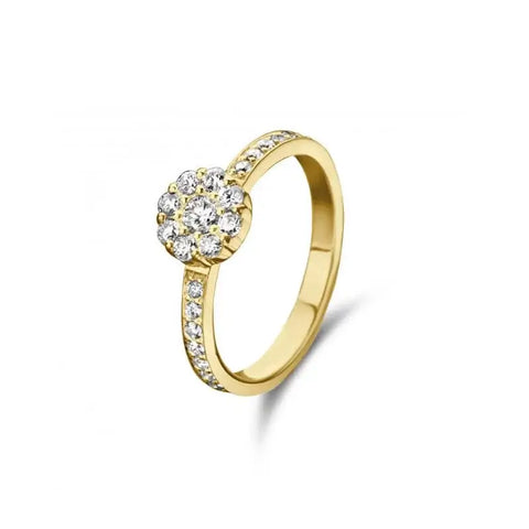 Vanity Ring - 14 kt. guld