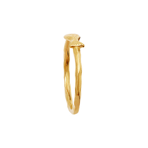 RESTORDRE SLUT JUNI - Maanesten Abbey Ring
