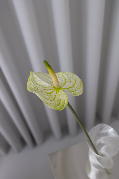 BLOOM OBJECTS kunstig naturtro Anthurium