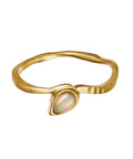 Cille Maanesten ring, Forgyldt