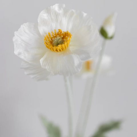 BLOOM OBJECTS kunstig Valmue - Creme