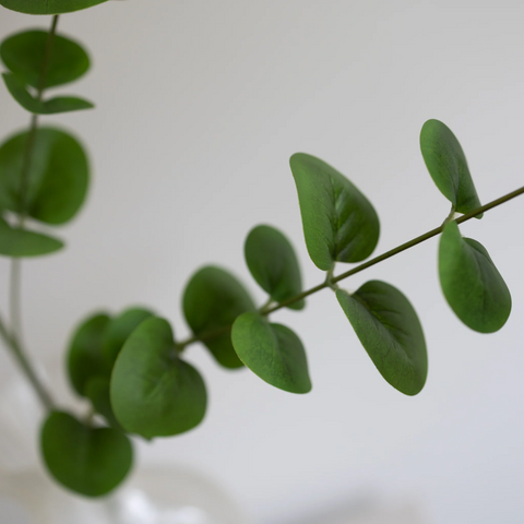BLOOM OBJECTS kunstig Eukalyptus