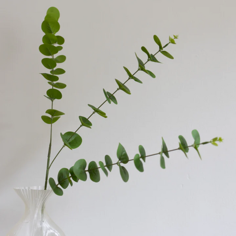 Eukalyptus kunstig naturtro. fra bloom objects. Kan købes hos Rokkjærs 