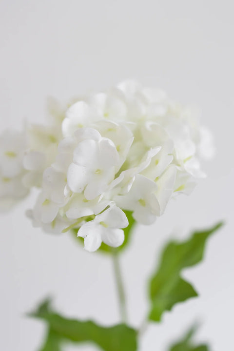 BLOOM OBJECTS kunstig Hortensia Trio blomst - Hvid