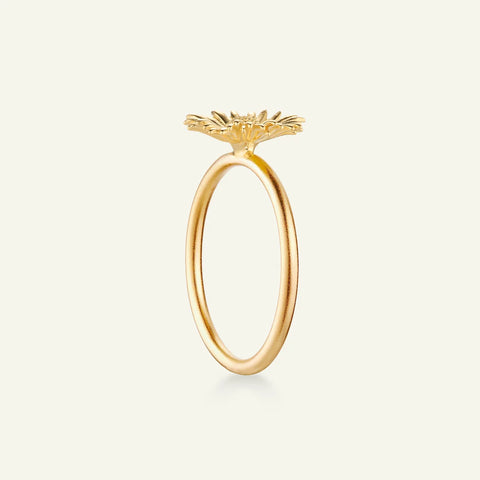 Flora Danica Tusindfryd Ring, Forgyldt